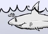 Jaws’ revenge